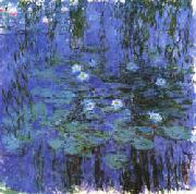 Blue Water Lilies